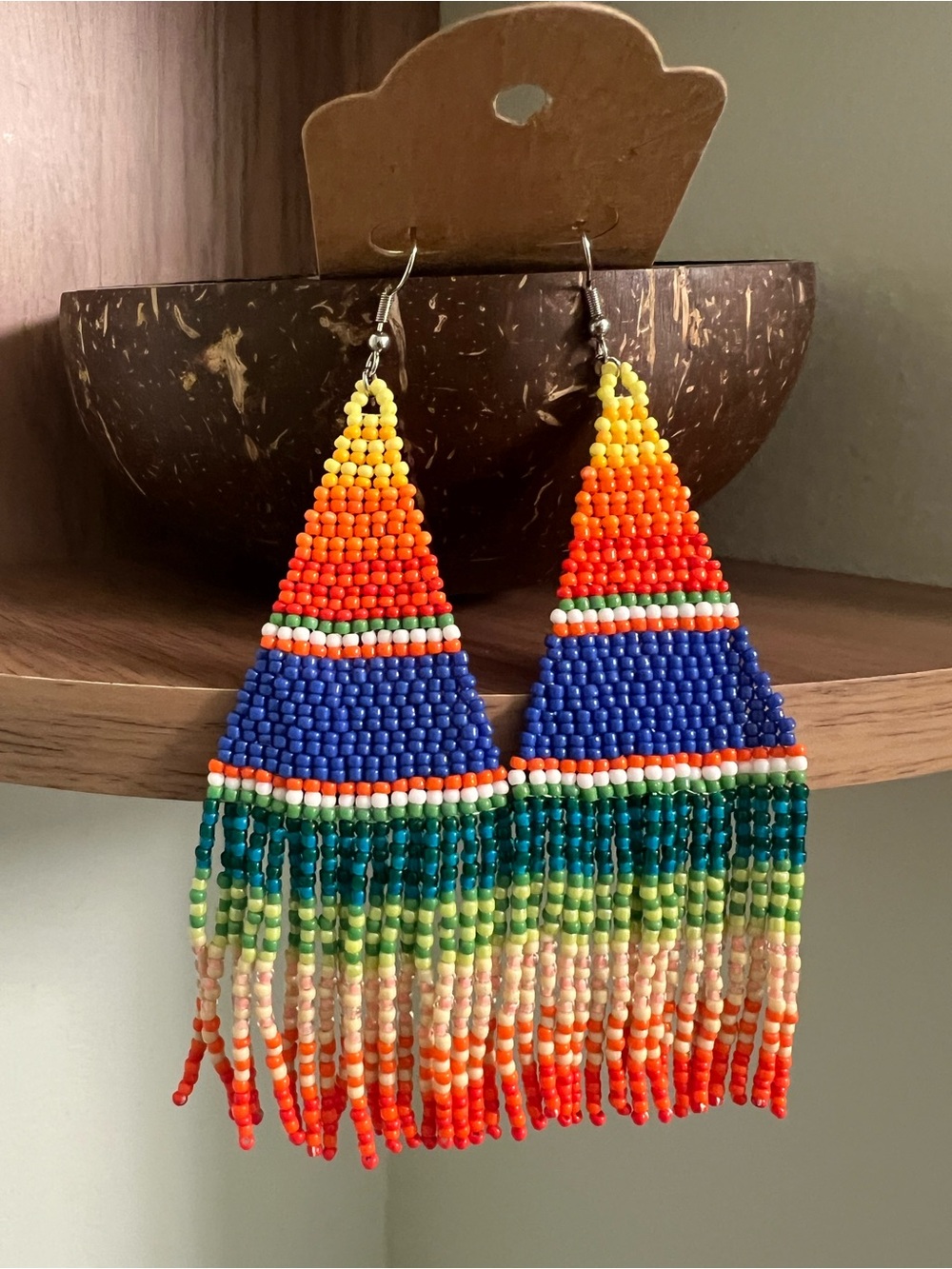 Colorful Rainbow Beaded Fringe Earrings